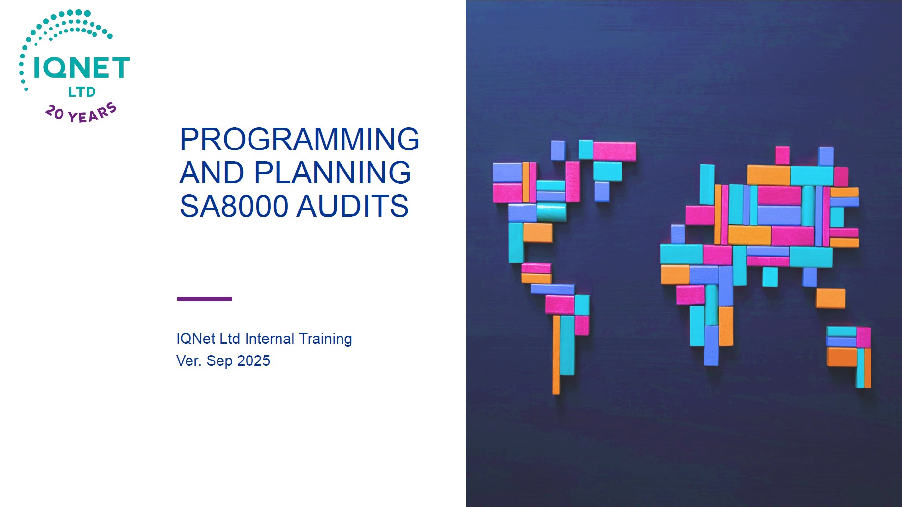 PROGRAMMING AND PLANNING SA8000 AUDIT 2025